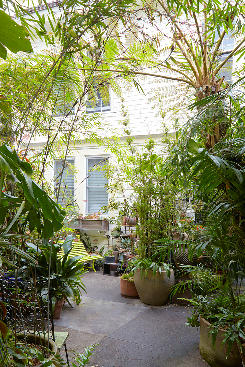 Hidden Urban Paradise: Jim Kumiega's Garden — Flora Grubb Gardens